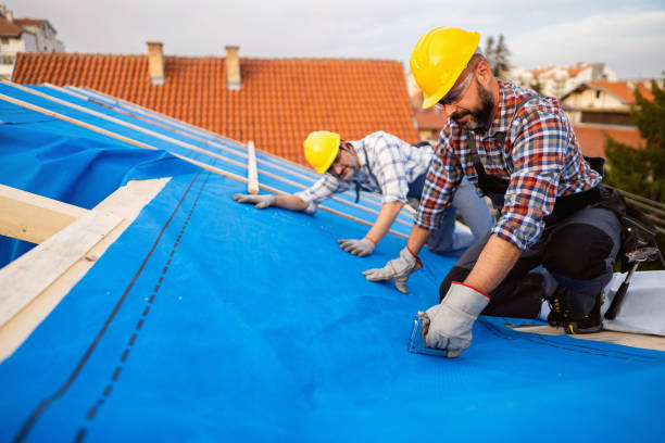 Best Hot Roofs  in Richmond, IL